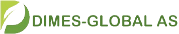 DIMES Global Logo